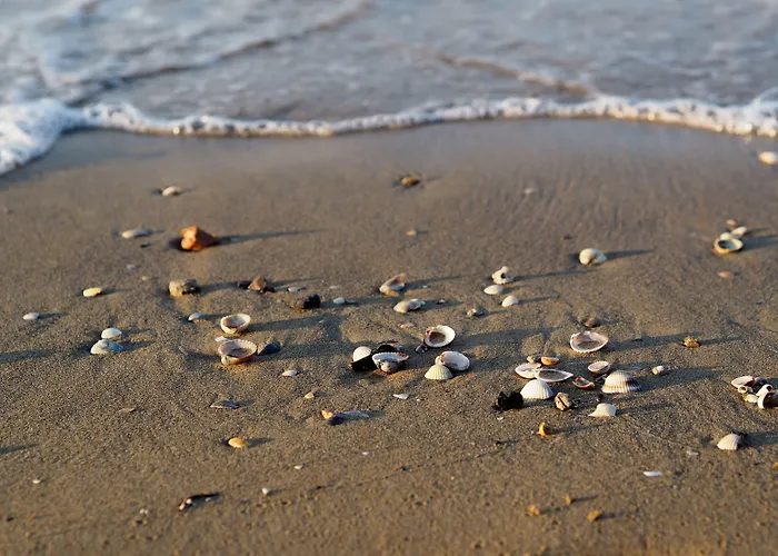 Διαμέρισμα Two- Bedroom Flat With Sea View In Μπιμπιόνε